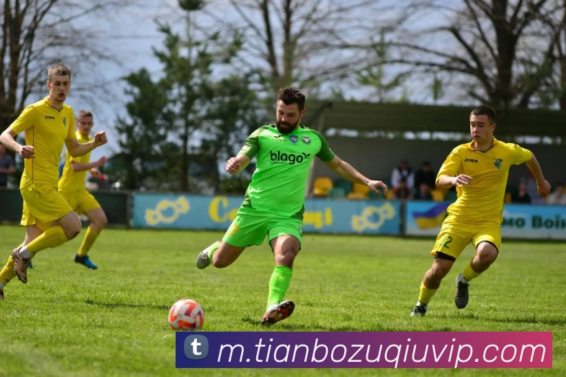 天博体育平台生态图