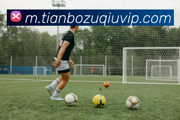 天博体育APP 封面图